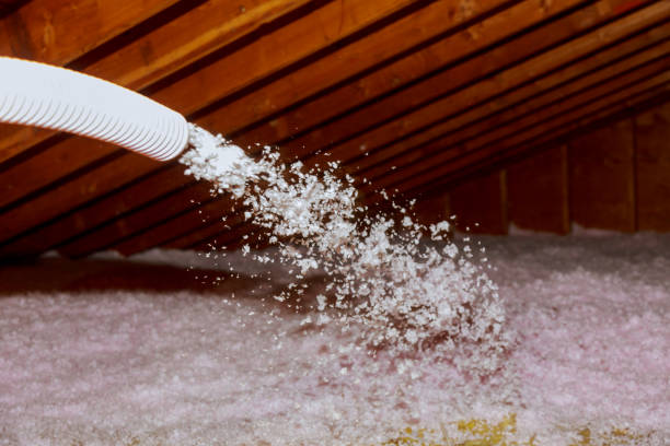 Best Soundproof Insulation Installation  in Chesapeake, WV