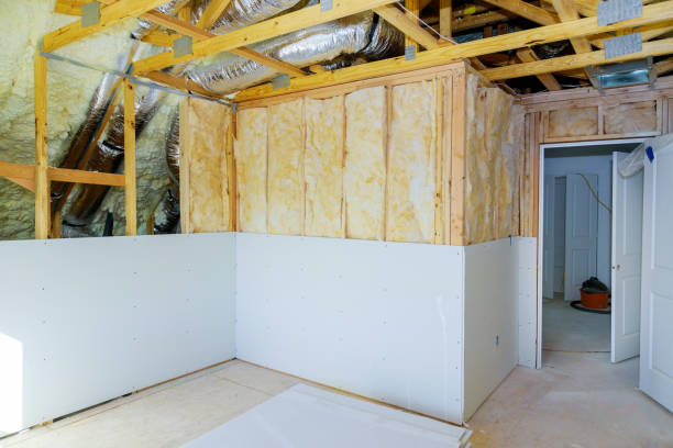 Best Cellulose Insulation  in Chesapeake, WV