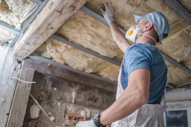 Best Insulation Repair Services  in Chesapeake, WV