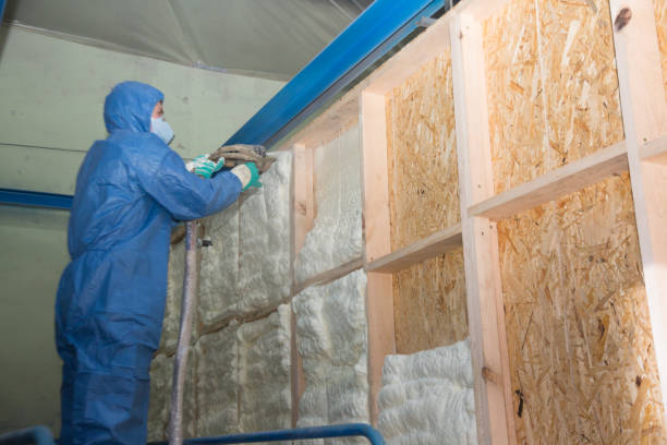 Best Local Insulation Services  in Chesapeake, WV
