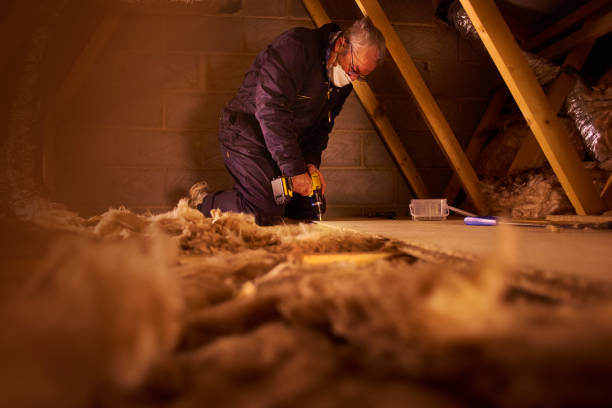 Best Residential Insulation Services  in Chesapeake, WV