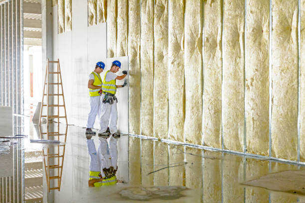 Best Insulation Removal Services  in Chesapeake, WV